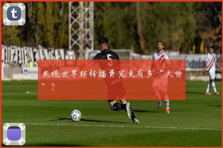 央视世界杯转播费究竟有多“天价”？