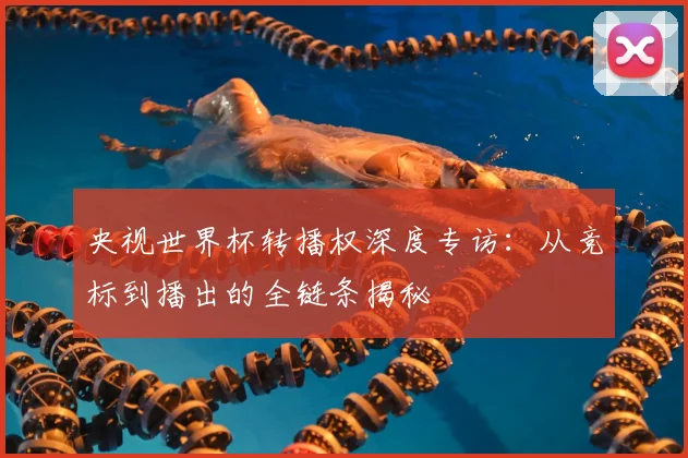 央视世界杯转播权深度专访：从竞标到播出的全链条揭秘