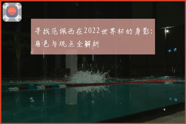 寻找范佩西在2022世界杯的身影：角色与观点全解析