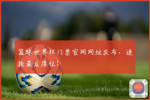 篮球世界杯门票官网网址发布,速抢最后席位!