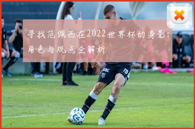 寻找范佩西在2022世界杯的身影：角色与观点全解析