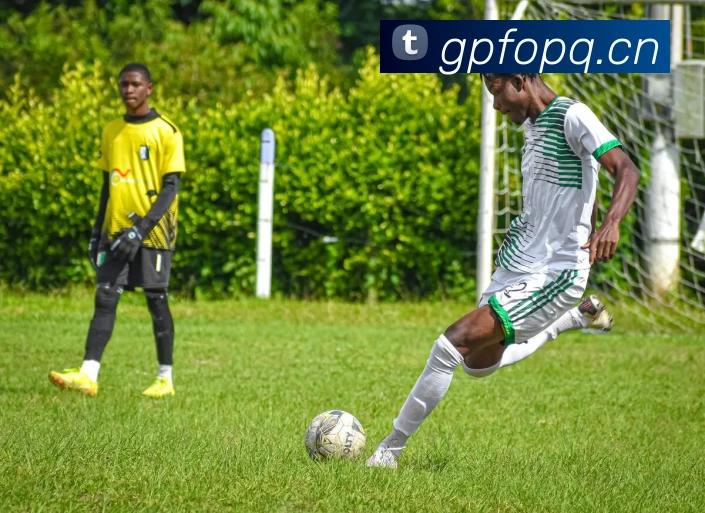 j9游会首页登录APP 封面图